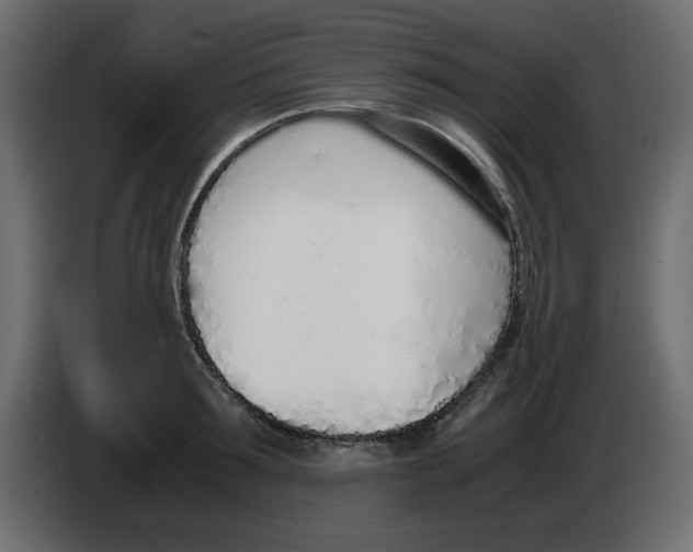 X0000083010899200703021938