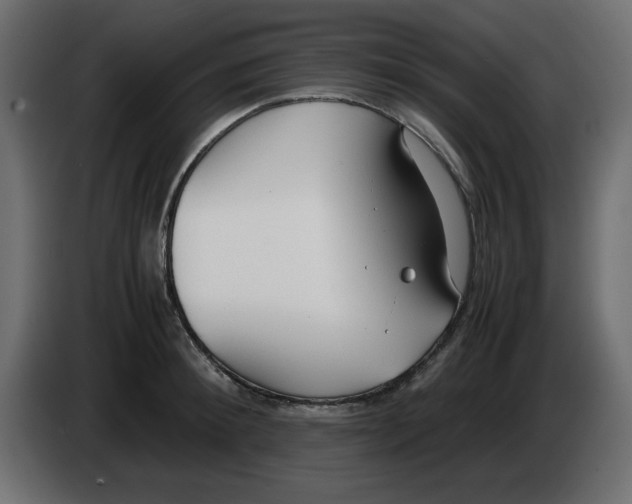 X0000083010900200703021938