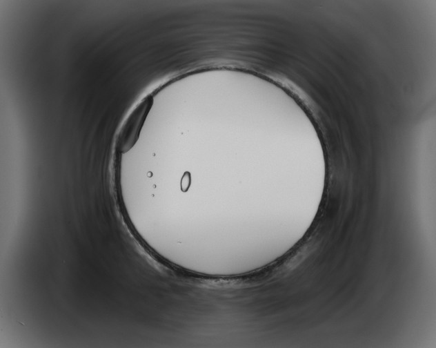 X0000083010902200703021938