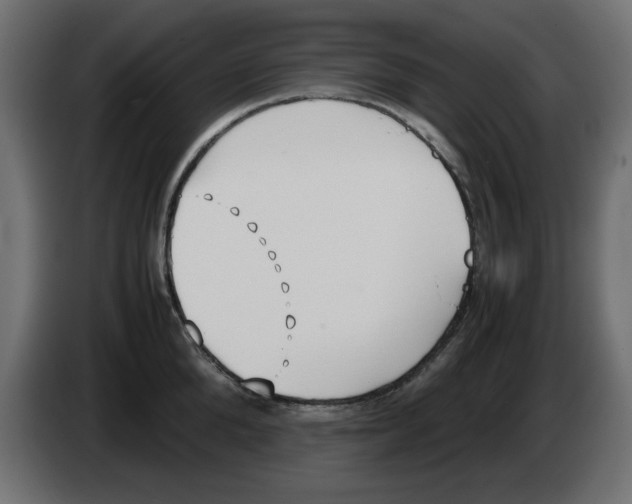 X0000083010904200703021938