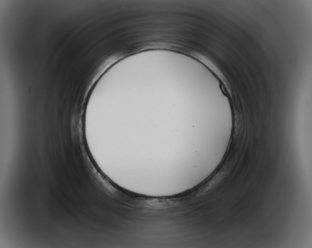 X0000083010906200703021938