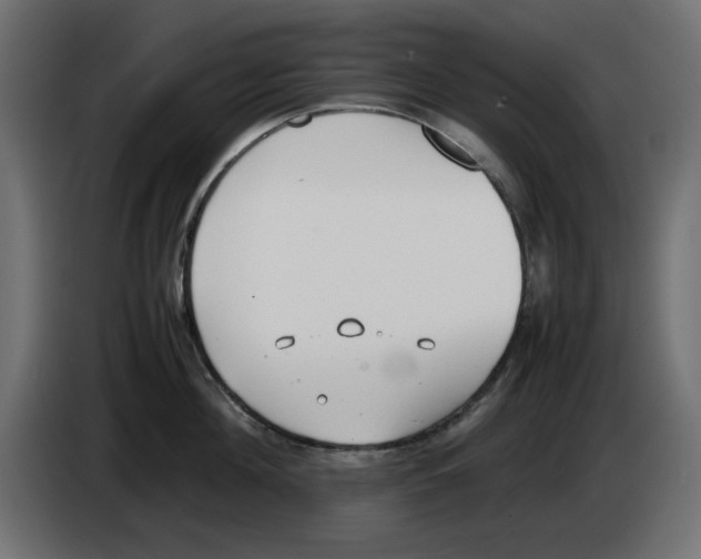 X0000083010908200703021938