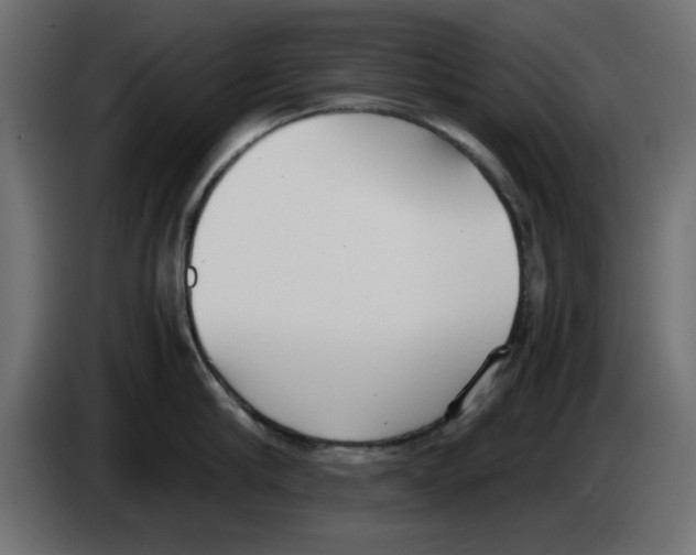 X0000083010910200703021938