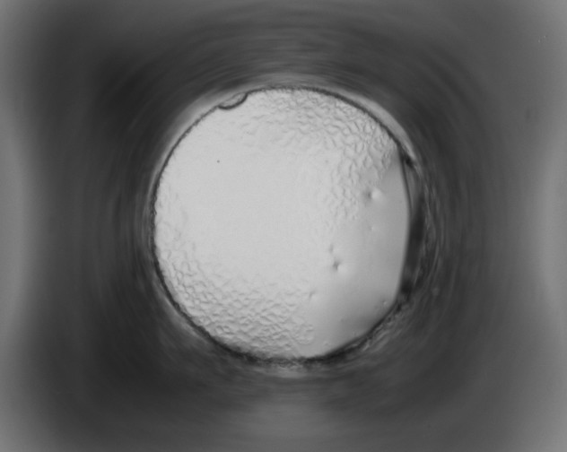 X0000083010911200703021938