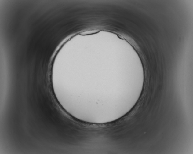 X0000083010912200703021938