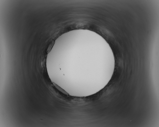 X0000083010914200703021937