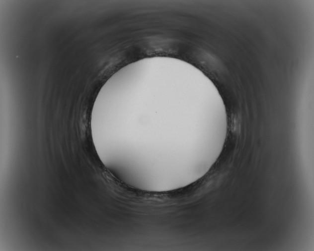 X0000083010915200703021937