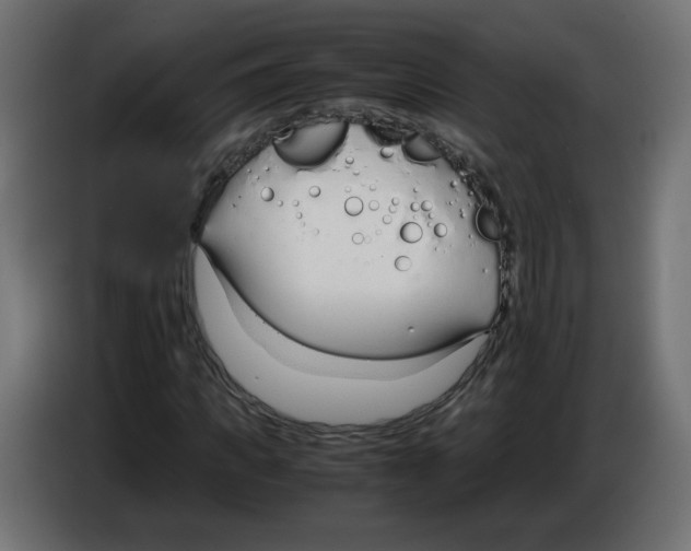 X0000083010917200703021937