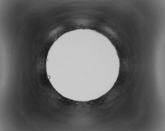 X0000083010918200703021937