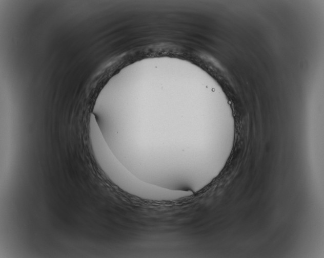 X0000083010919200703021937