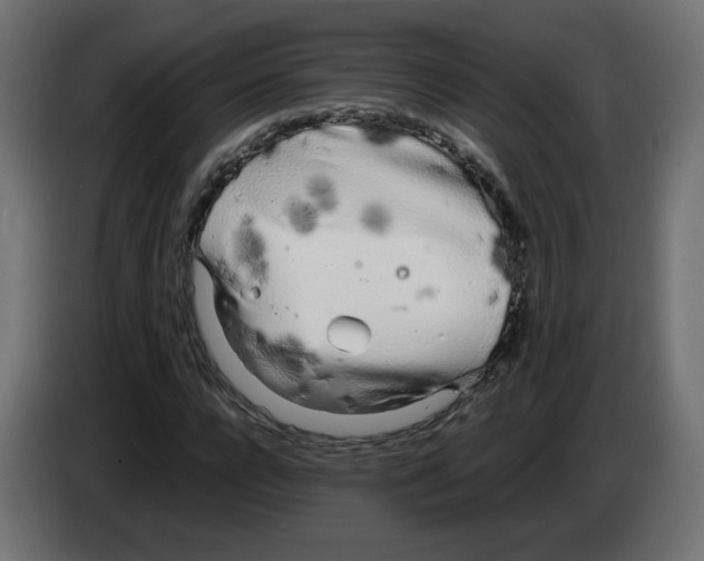 X0000083010920200703021937