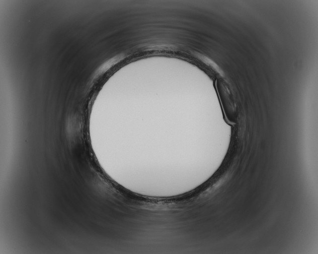 X0000083010922200703021937