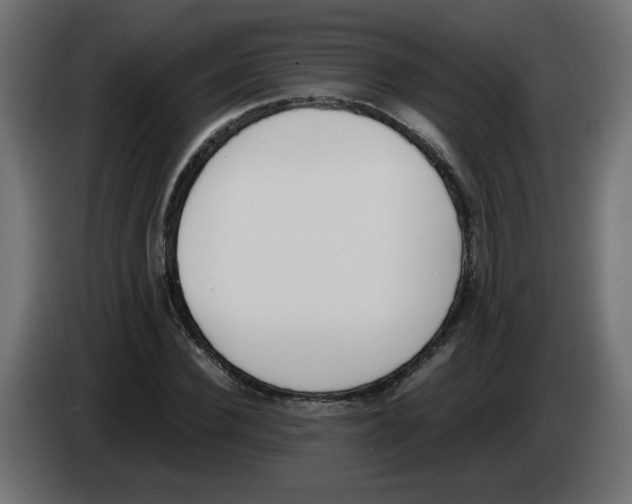 X0000083010924200703021937