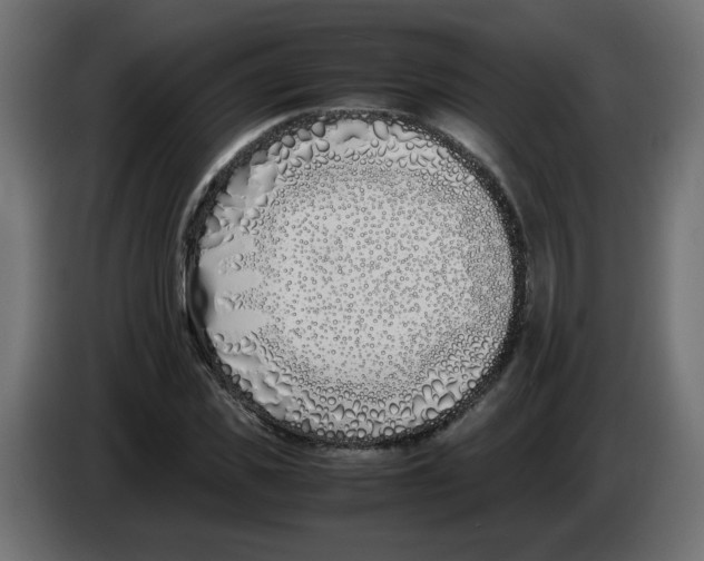 X0000083010925200703021937