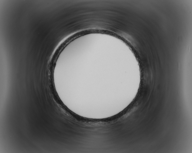 X0000083010926200703021937