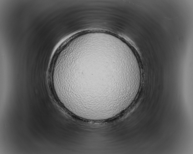 X0000083010928200703021937