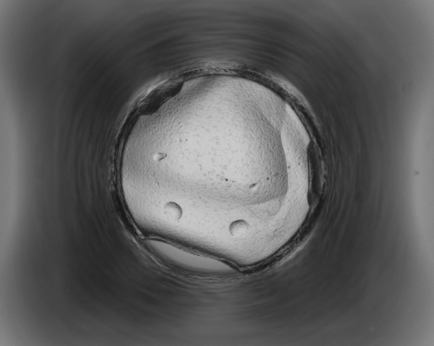 X0000083010930200703021937