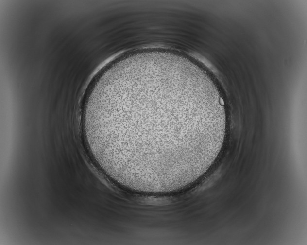 X0000083010933200703021937