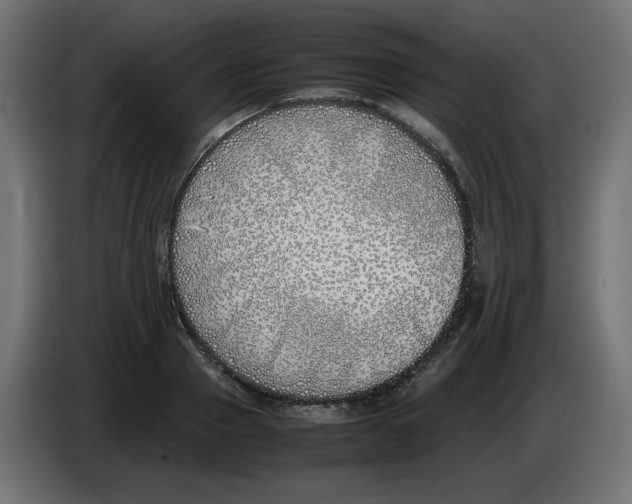 X0000083010937200703021937