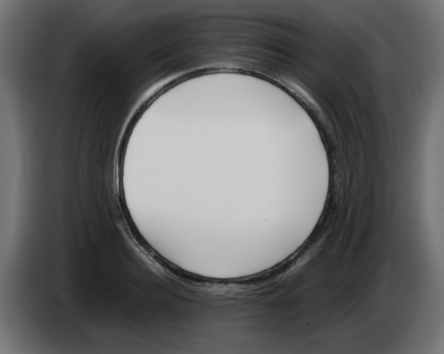 X0000083010940200703021937