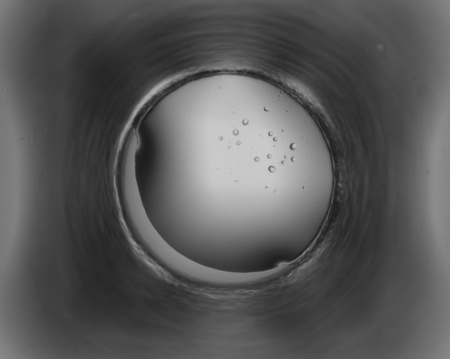 X0000083010942200703021937