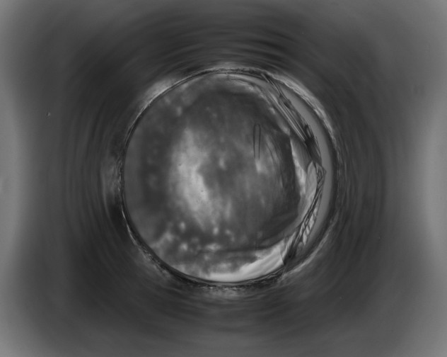 X0000083010945200703021937