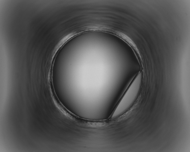 X0000083010946200703021937