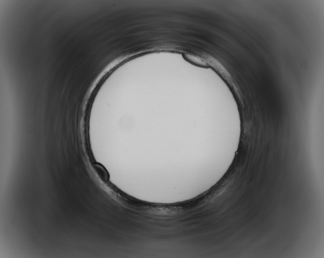 X0000083010947200703021937