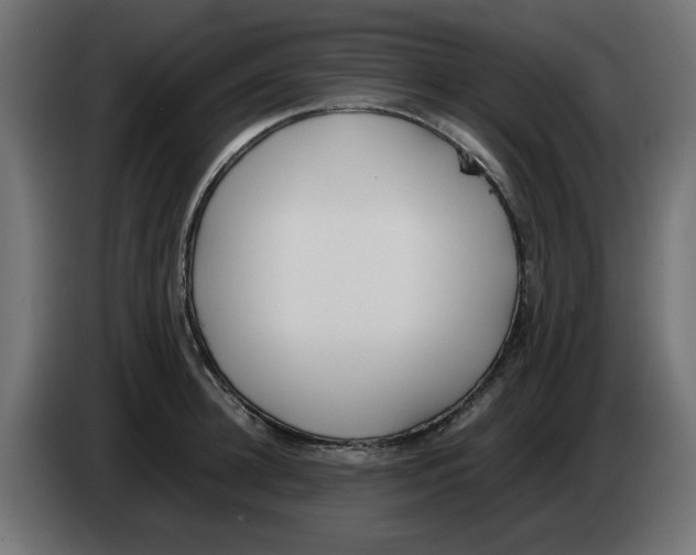 X0000083010948200703021937