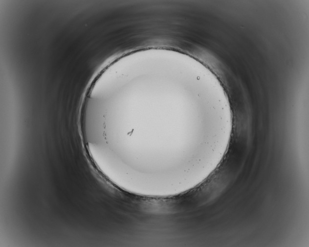 X0000083010950200703021937