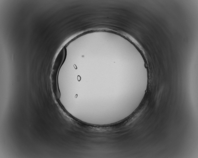 X0000083010951200703021937