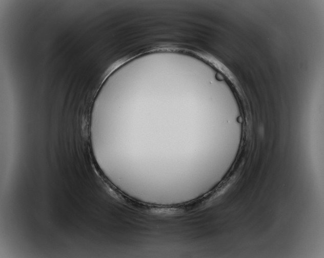 X0000083010953200703021937