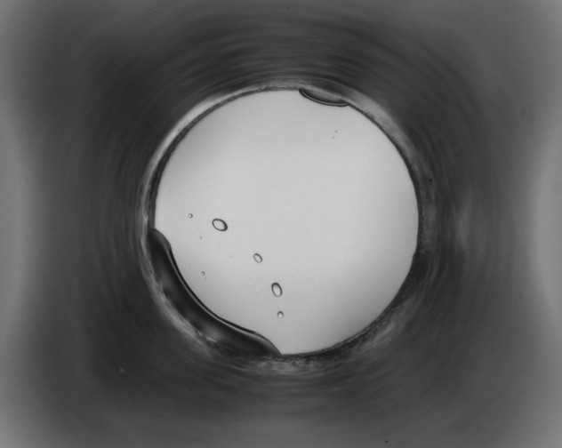 X0000083010955200703021937