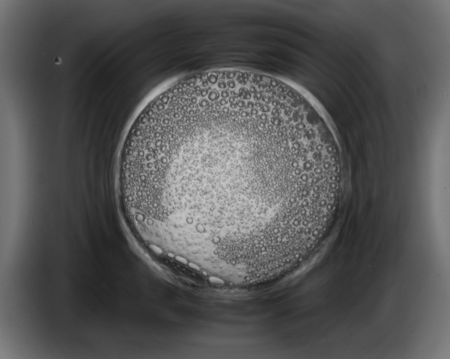 X0000083010957200703021937