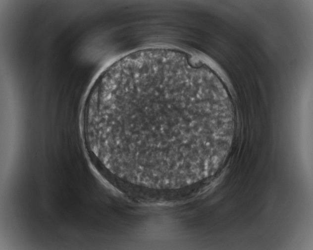 X0000083010958200703021937