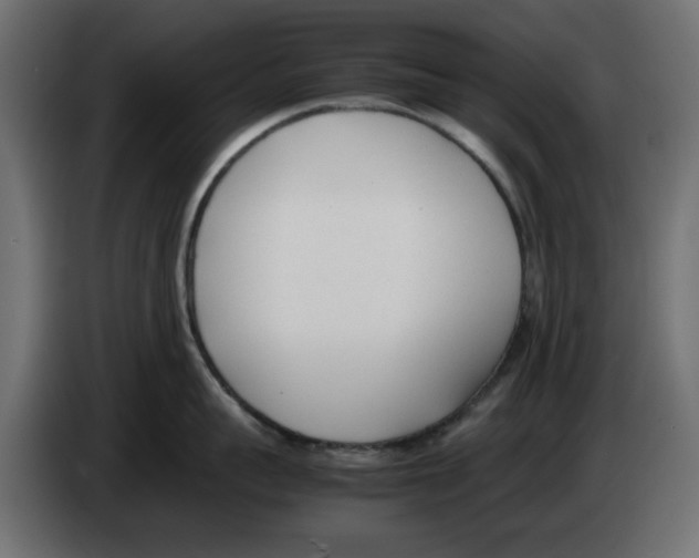 X0000083010959200703021938