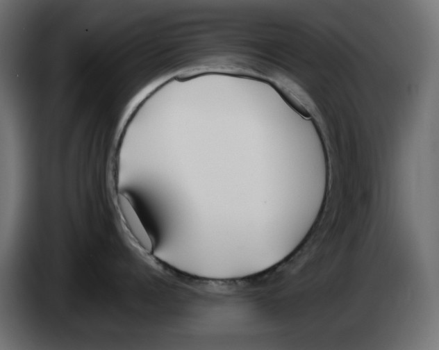 X0000083010960200703021938