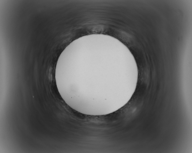 X0000083010962200703021937