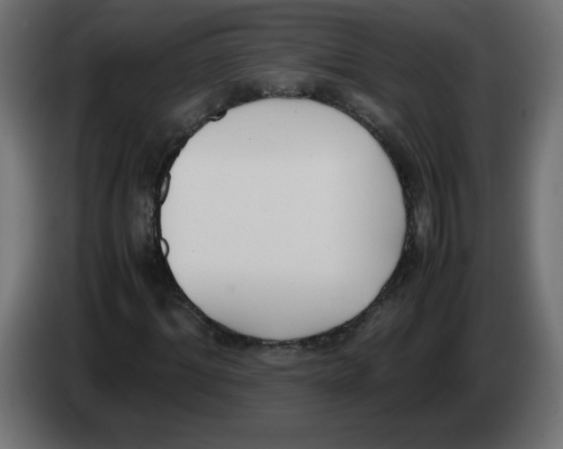 X0000083010964200703021937