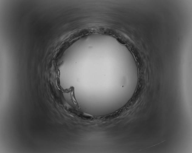 X0000083010965200703021937