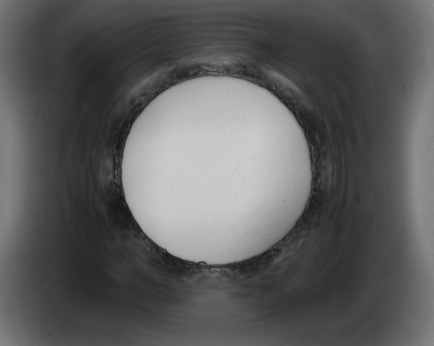 X0000083010966200703021937