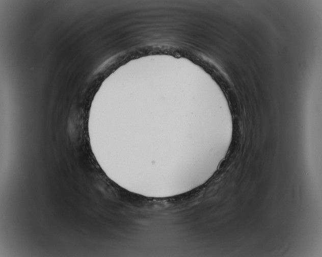 X0000083010968200703021937