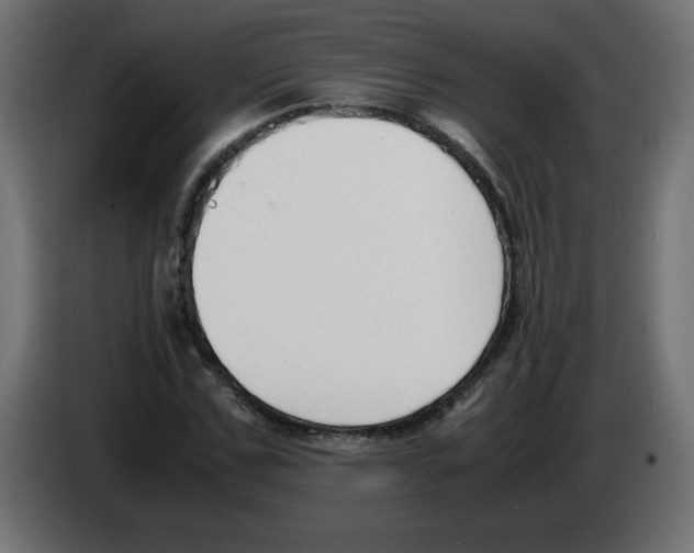 X0000083010971200703021937