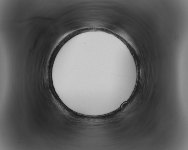 X0000083010972200703021937