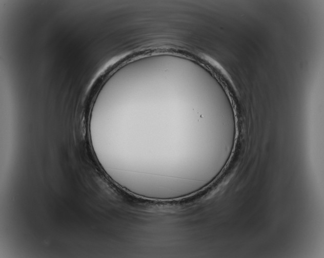 X0000083010973200703021937