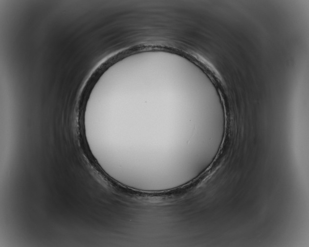 X0000083010976200703021937