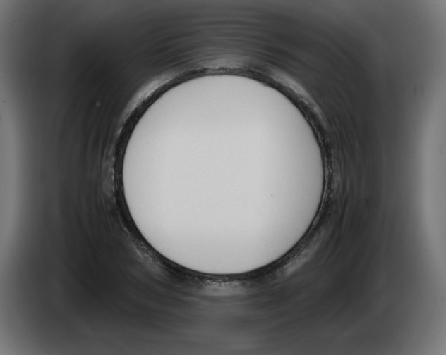 X0000083010978200703021937