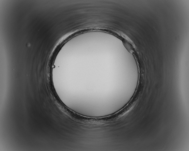 X0000083010981200703021937