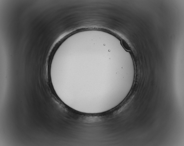 X0000083010982200703021937