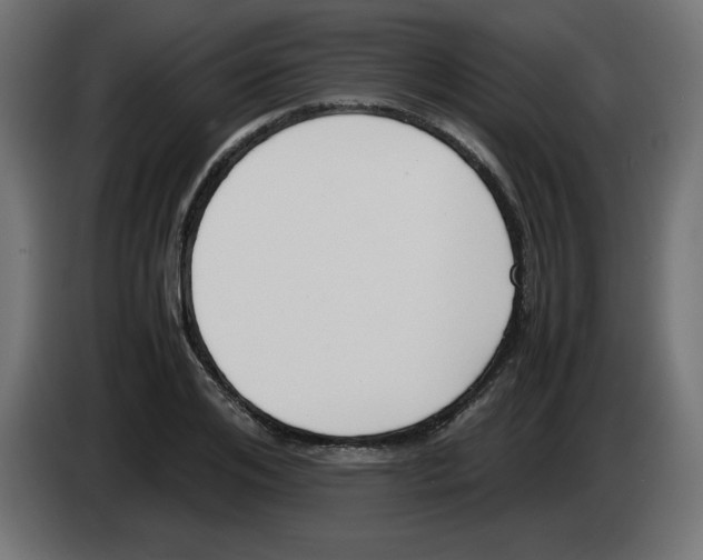 X0000083010984200703021936